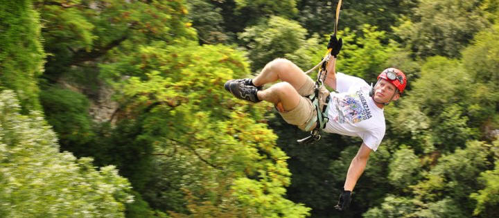 Zip Line